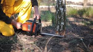 Best Soil Testing and Treatment  in West Clarkston Highland, WA
